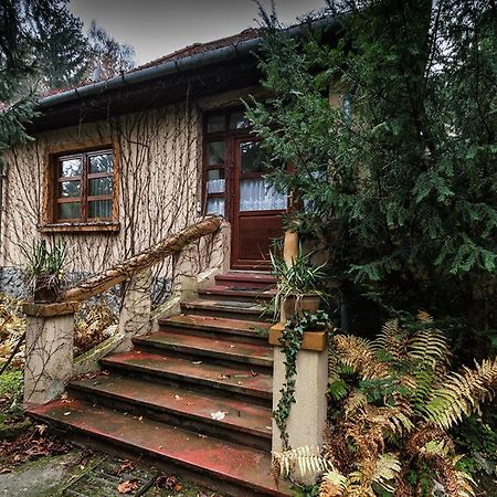 Boroka Apartmanhazak - Oereghaz Велем Номер фото