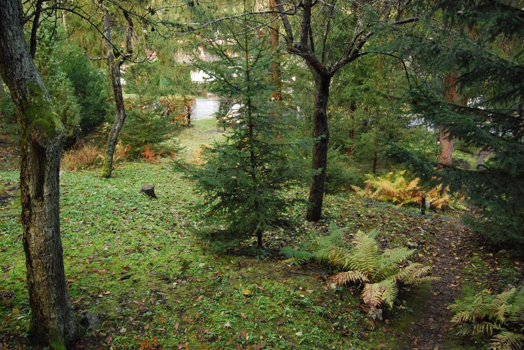 Boroka Apartmanhazak - Oereghaz Велем Номер фото