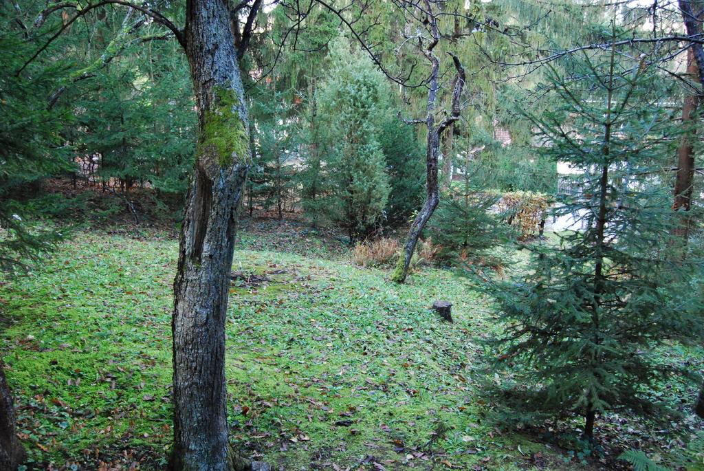 Boroka Apartmanhazak - Oereghaz Велем Номер фото